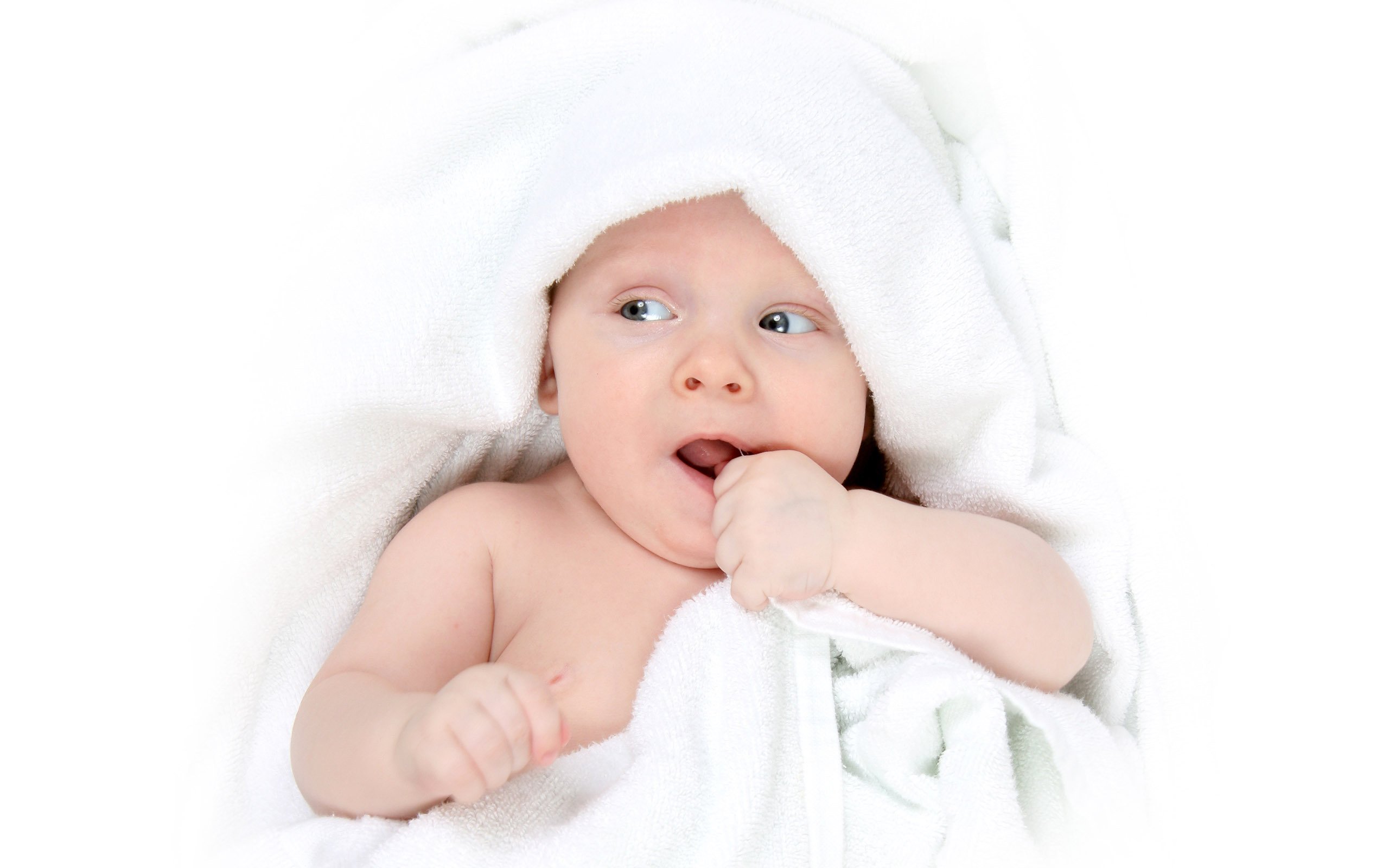 梅州代怀生子助孕机构试管婴儿卵泡多怎么办
